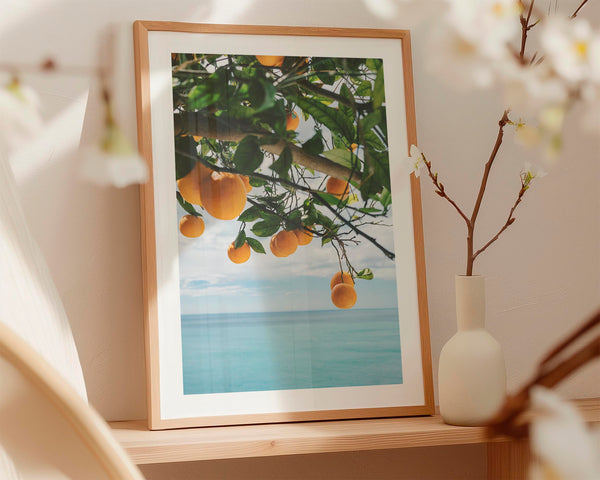 Ocean Breeze Oranges