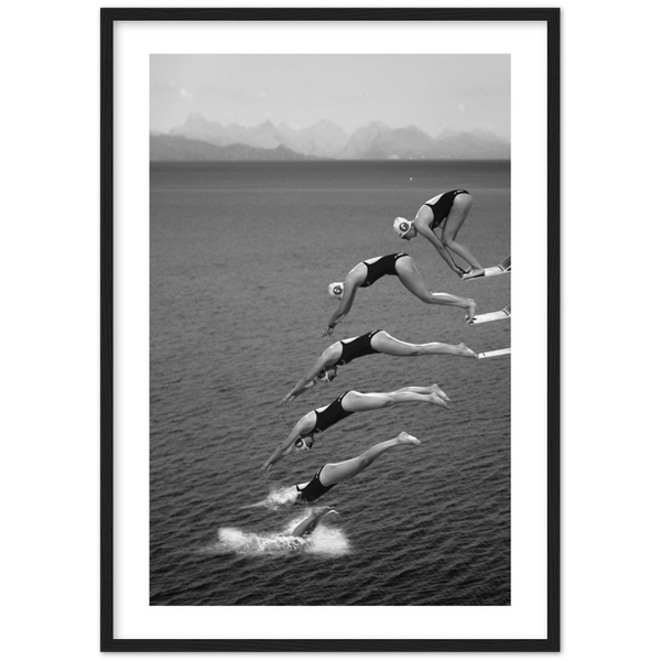 Black and White Diving