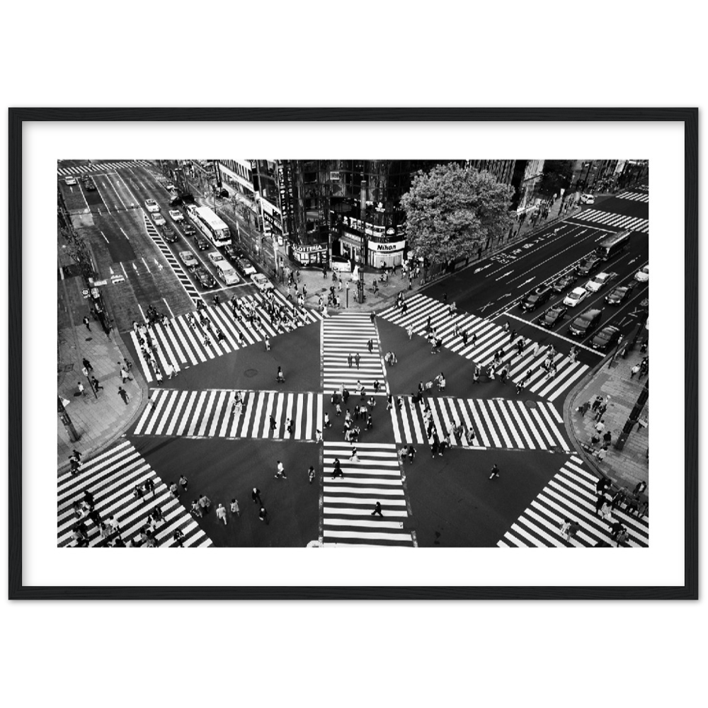 Tokyo- Shibuya Crossing