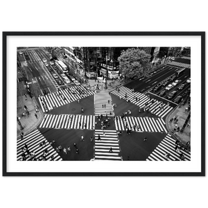 Tokyo- Shibuya Crossing