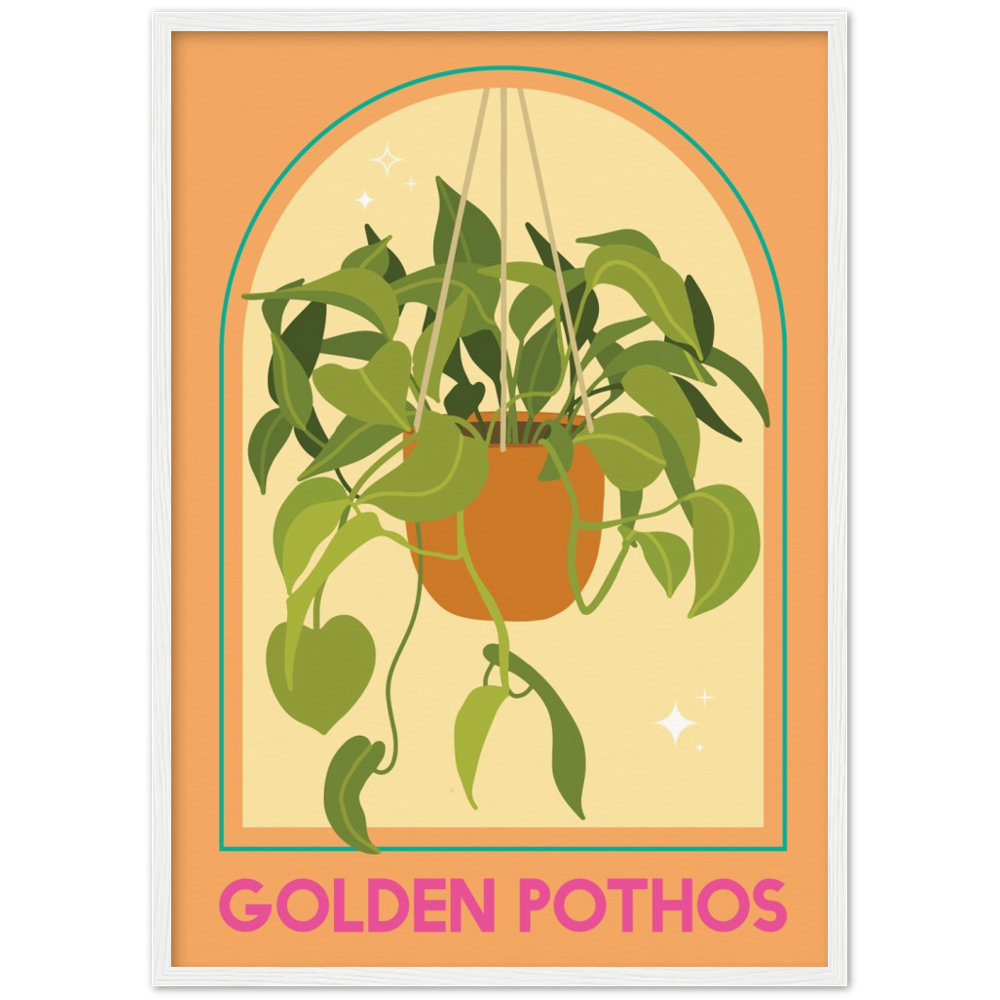 Golden Photos Plant