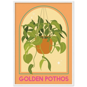 Golden Photos Plant