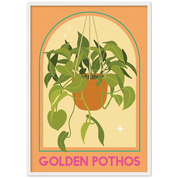 Golden Photos Plant