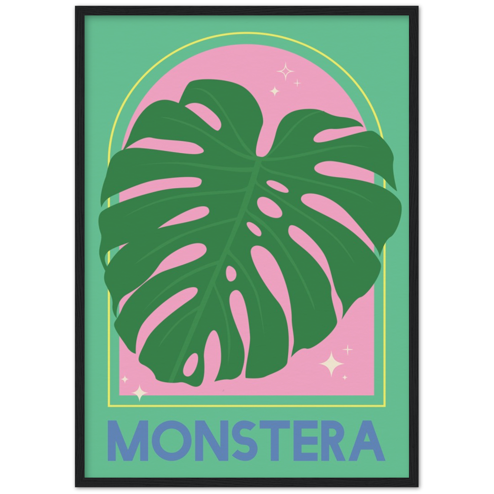 Monstera Plant