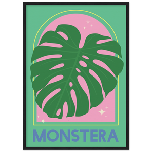 Monstera Plant