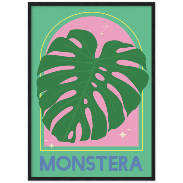 Monstera Plant